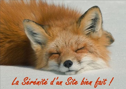 Client Sites Internet
